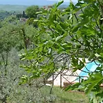 Monterzi 4, Emma